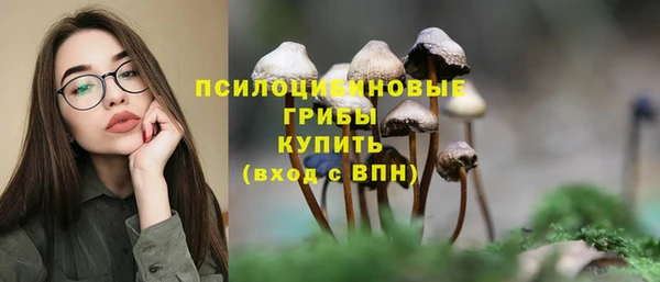 дживик Карталы