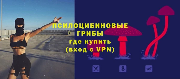 дживик Карталы
