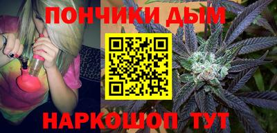 индика Заводоуковск