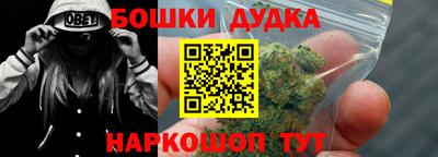 индика Заводоуковск