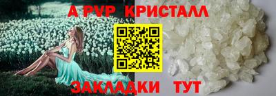 индика Заводоуковск