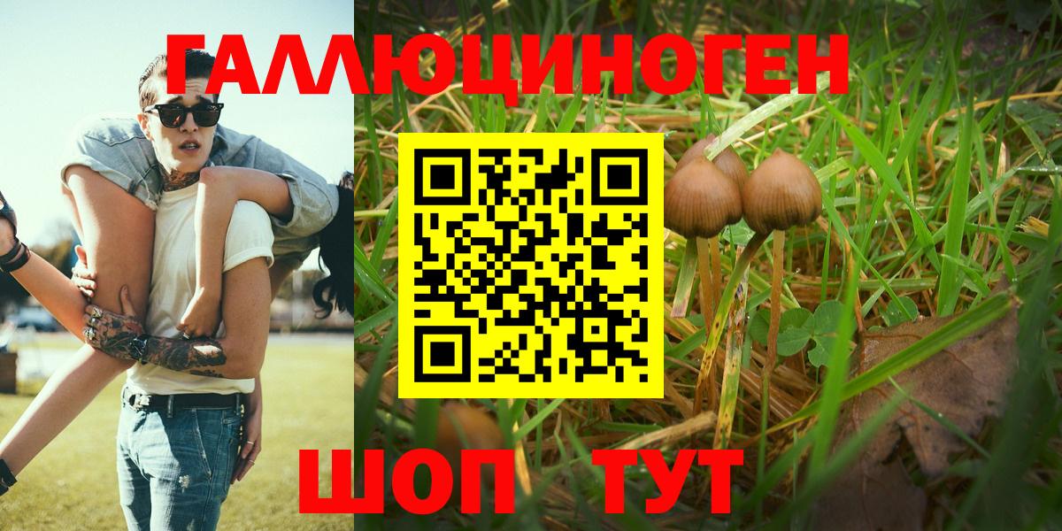 Галлюциногенные грибы Magic Shrooms Салават